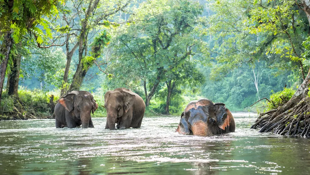 834802 w 3840 h 2160 q 70 m crop