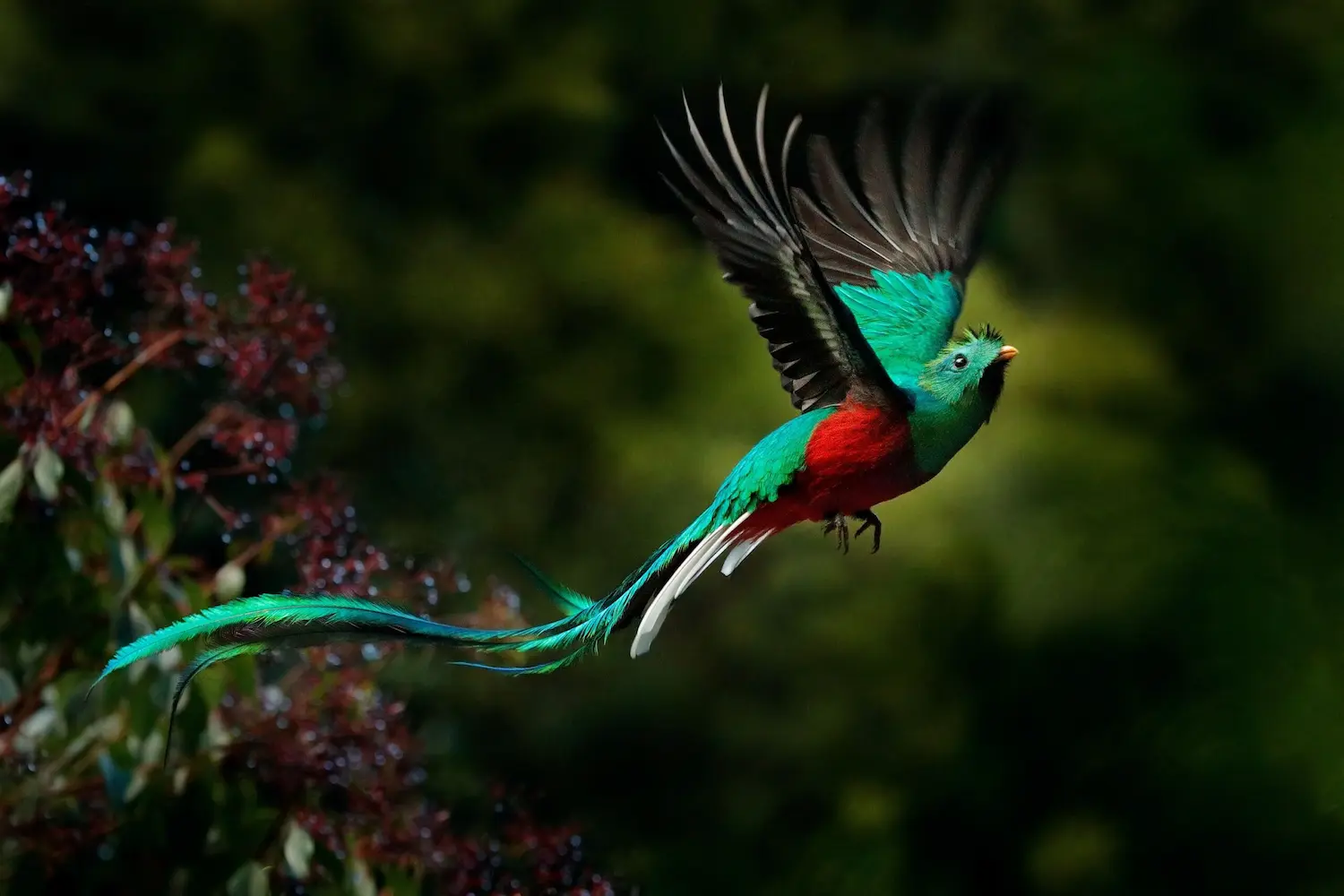 Viaje a Costa Rica en grupo reducido · Lista VIP 2027 · SunZen Travel