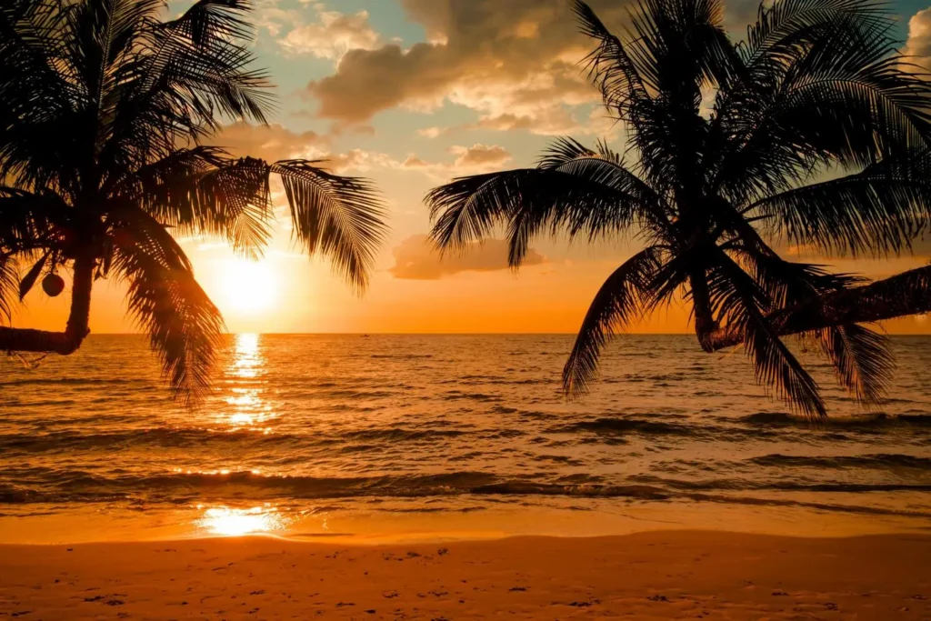silhouette of beautiful sunset on the sea beach with palm tree for travel in holiday relax time free photo