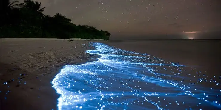 Noche estrellada sobre una isla de Palawan