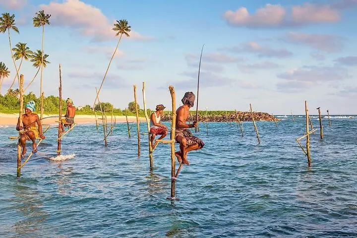 Stilt fishermen at dawn on the coast of Mirissa