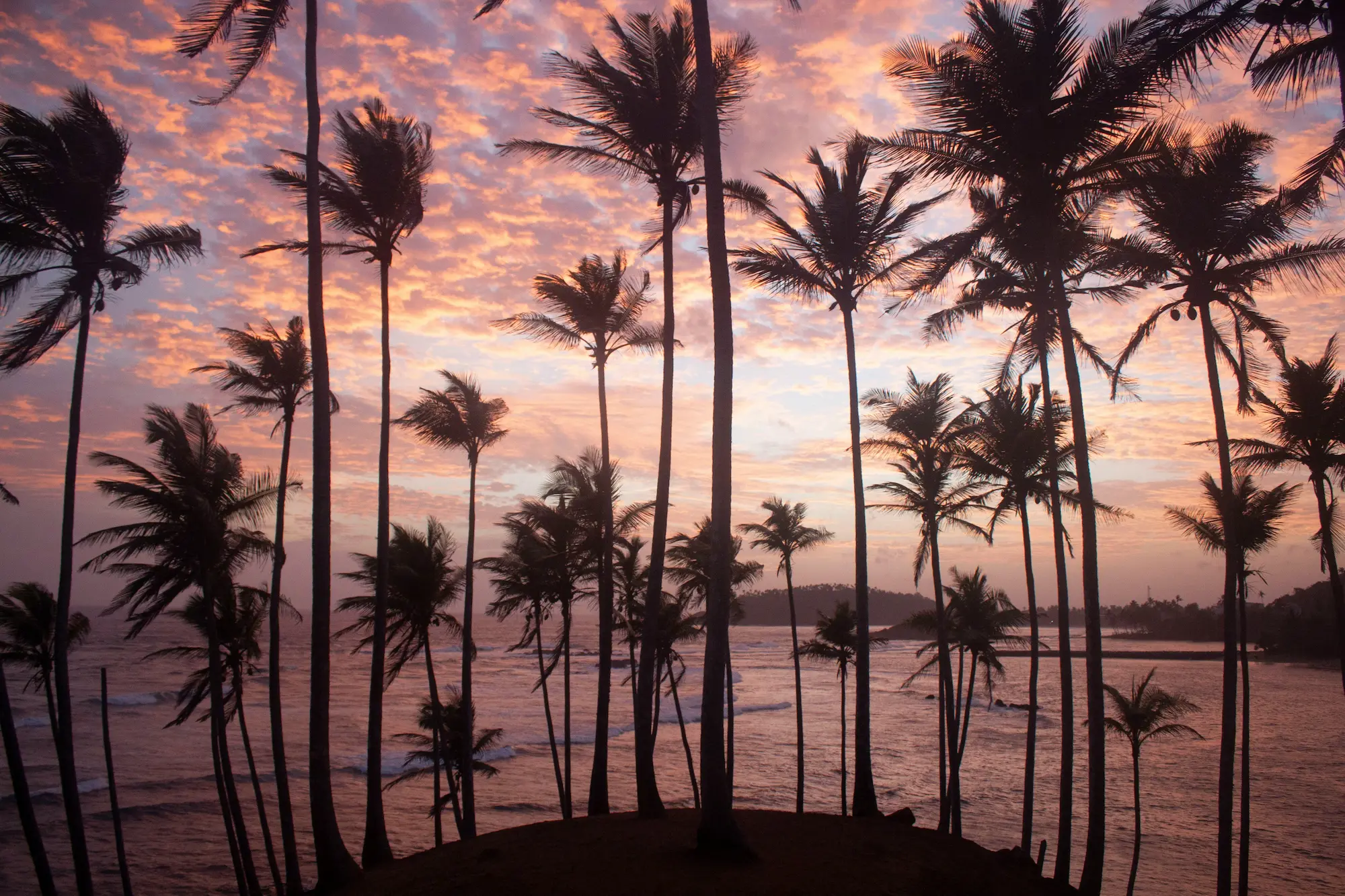 atardecer en Mirissa Sri Lanka SunZen Travel