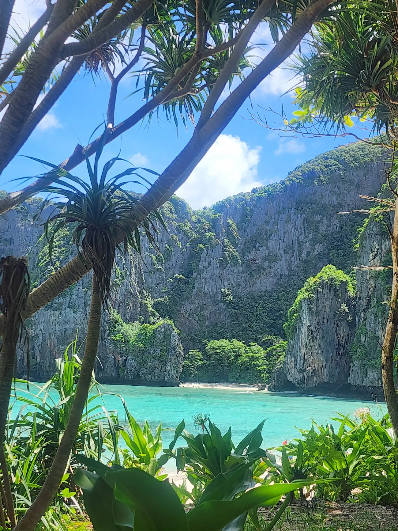 Paisaje de playa con mar en calma
