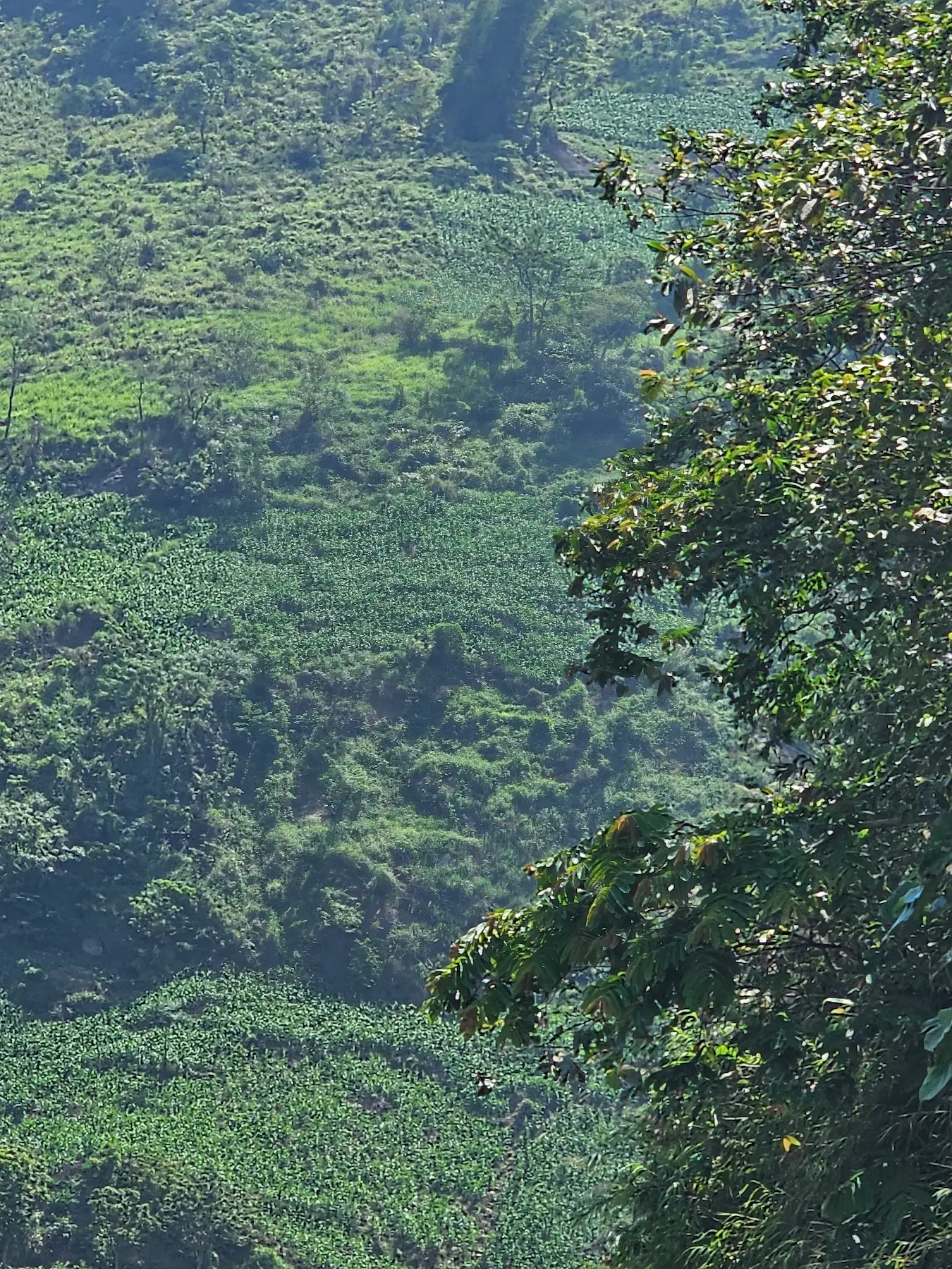 paisaje Vietnam SunZen Travel