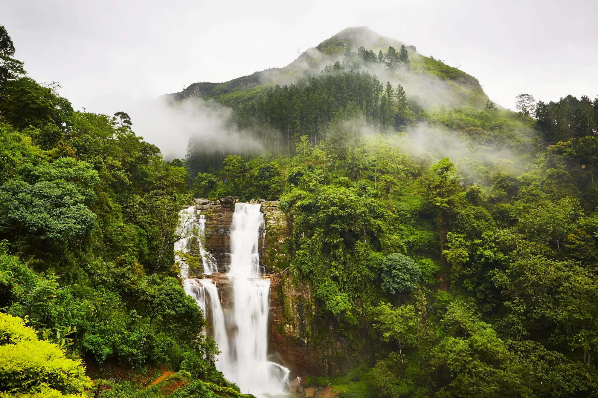Montañas y niebla en las tierras altas de Sri Lanka