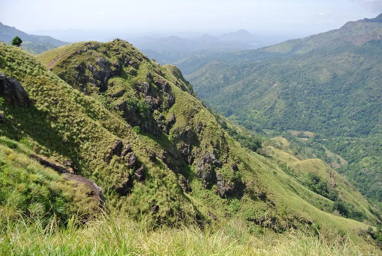 Naturaleza salvaje en el interior de Sri Lanka