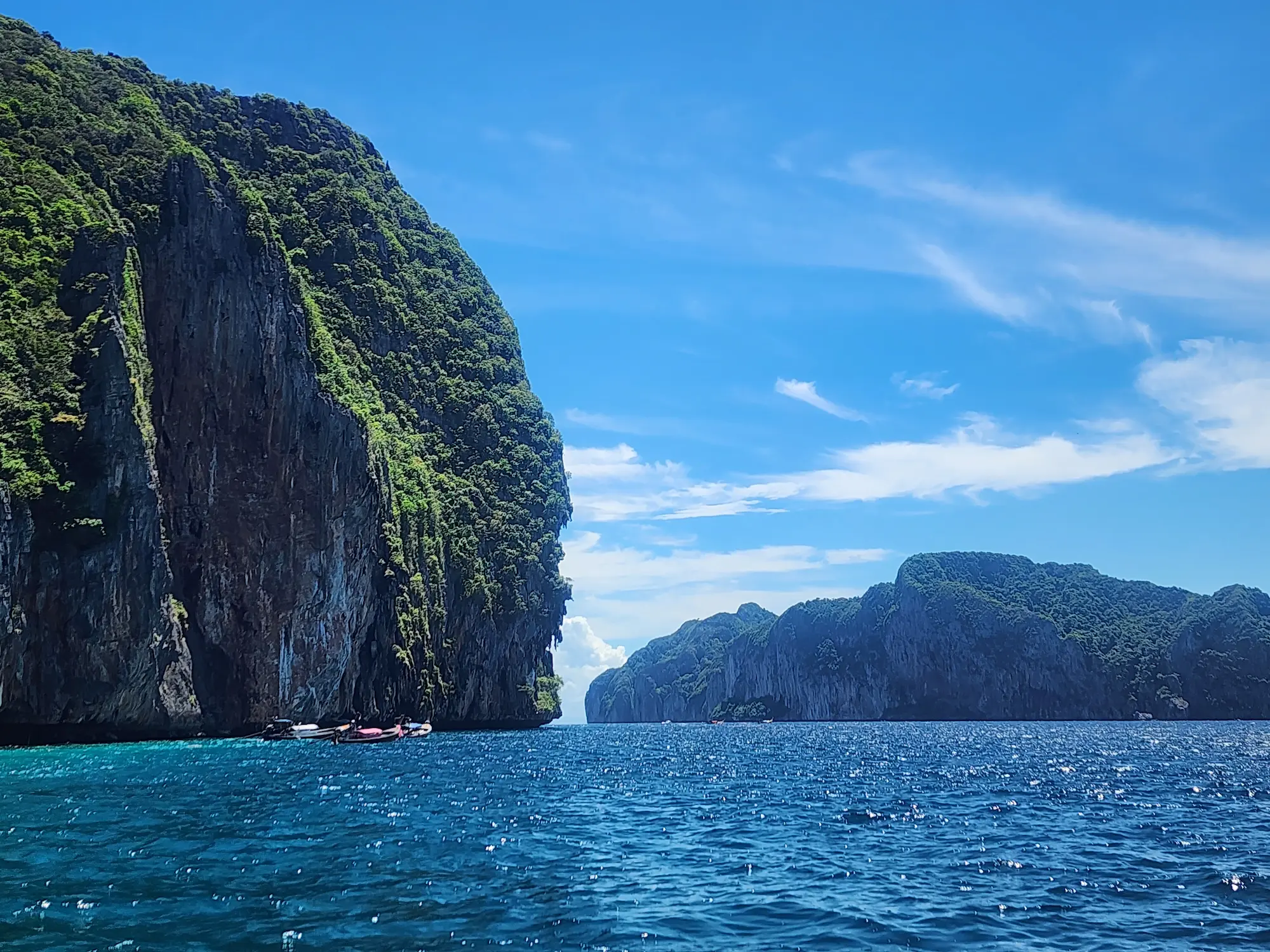 naturaleza de Tailandia mar de Andamán fauna flora biodiversidad SunZen Travel