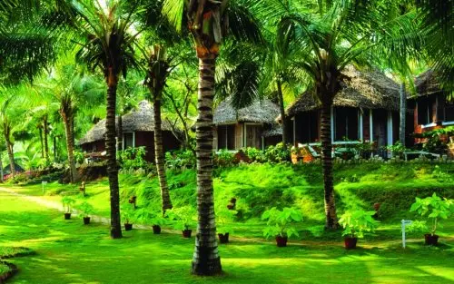 Retiro de Ayurveda en Kerala, India