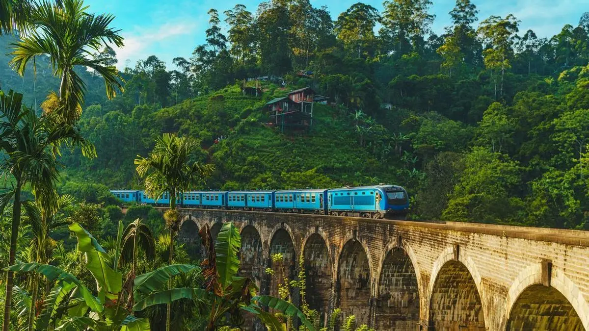 Tren de Kandy a Ella entre plantaciones de té