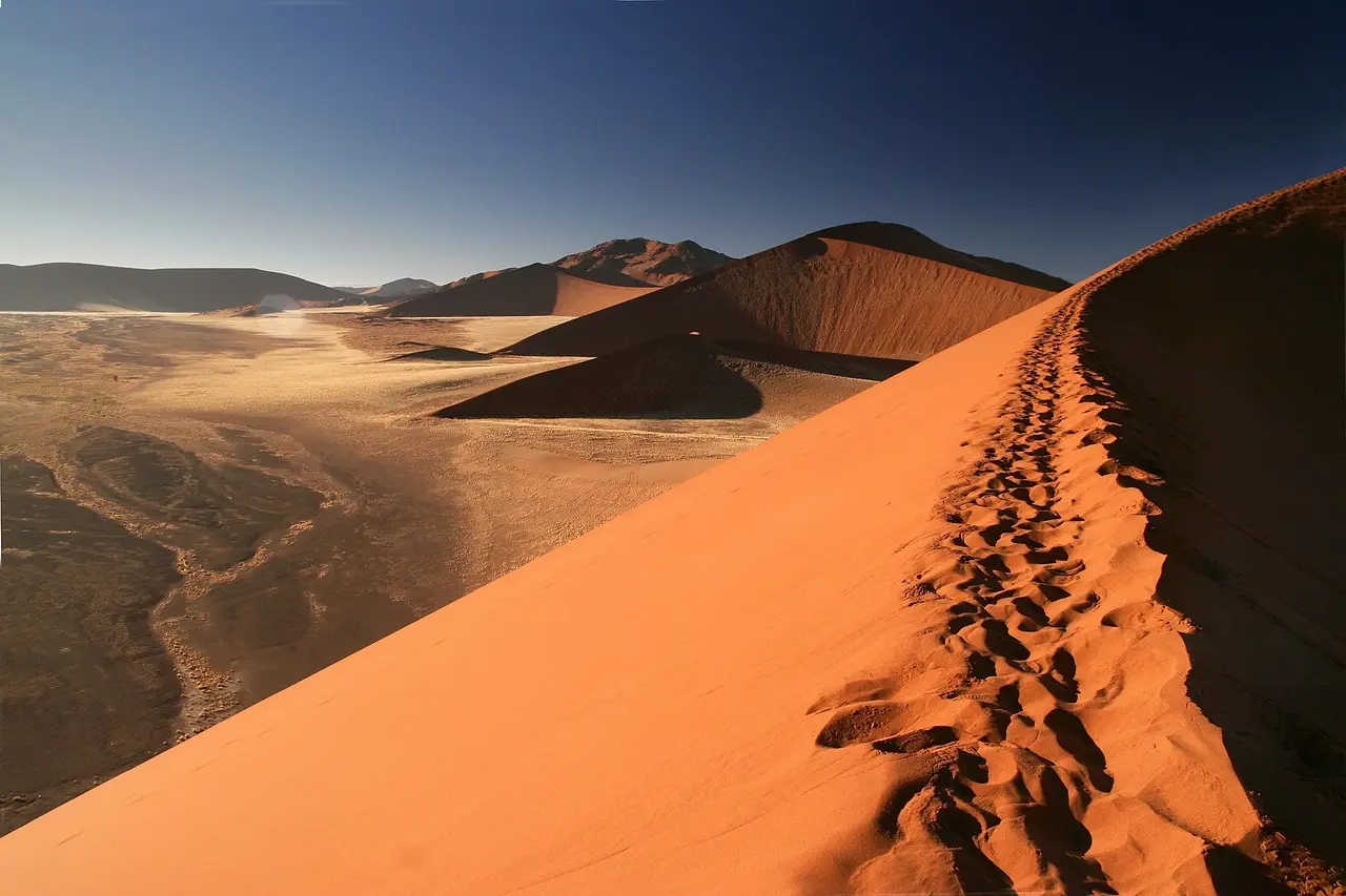 Árboles muertos de Deadvlei sobre el barro blanco con las dunas naranjas de Namibia al fondo