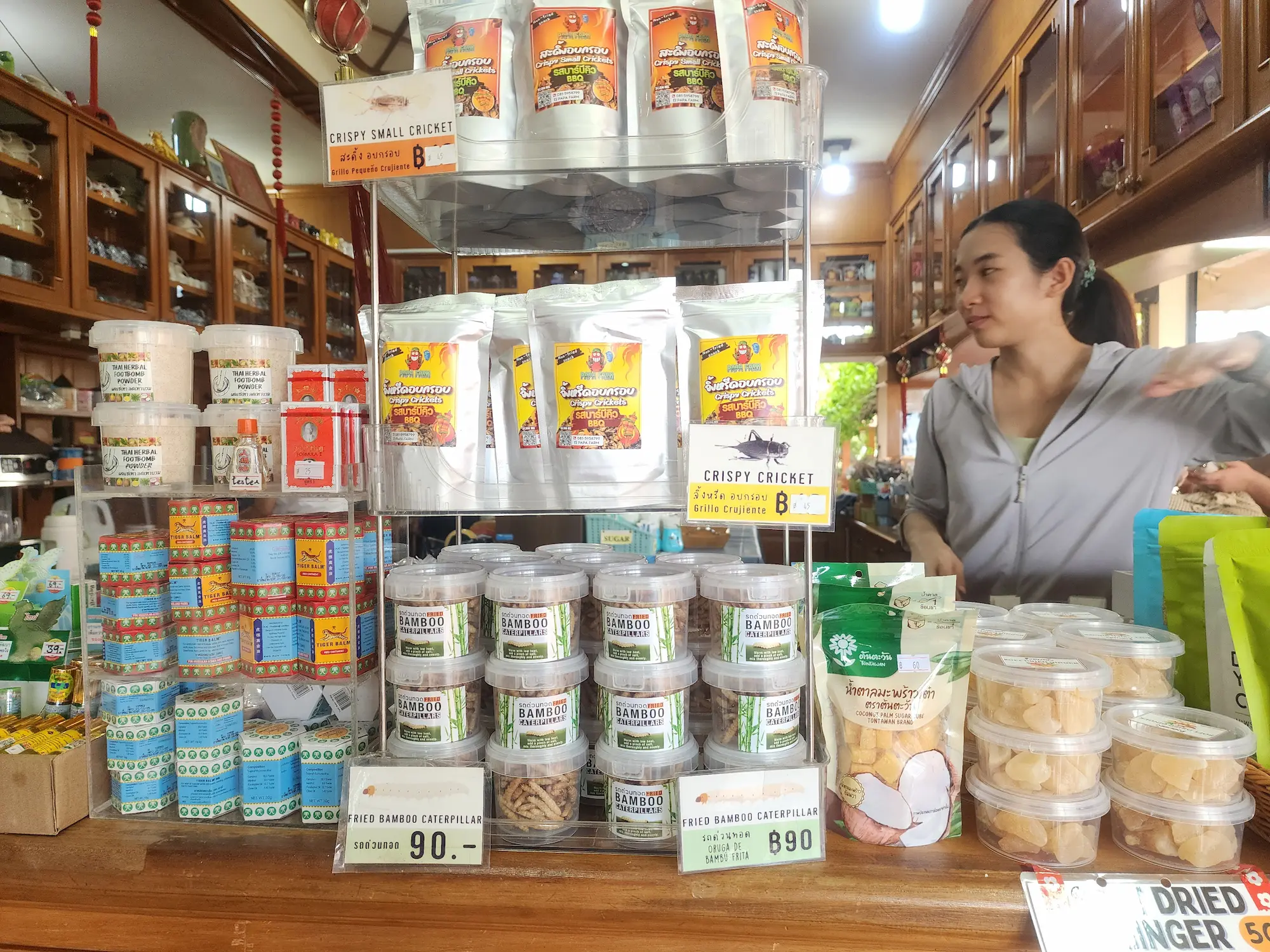 Puesto de mercado en Tailandia con insectos comestibles a la venta