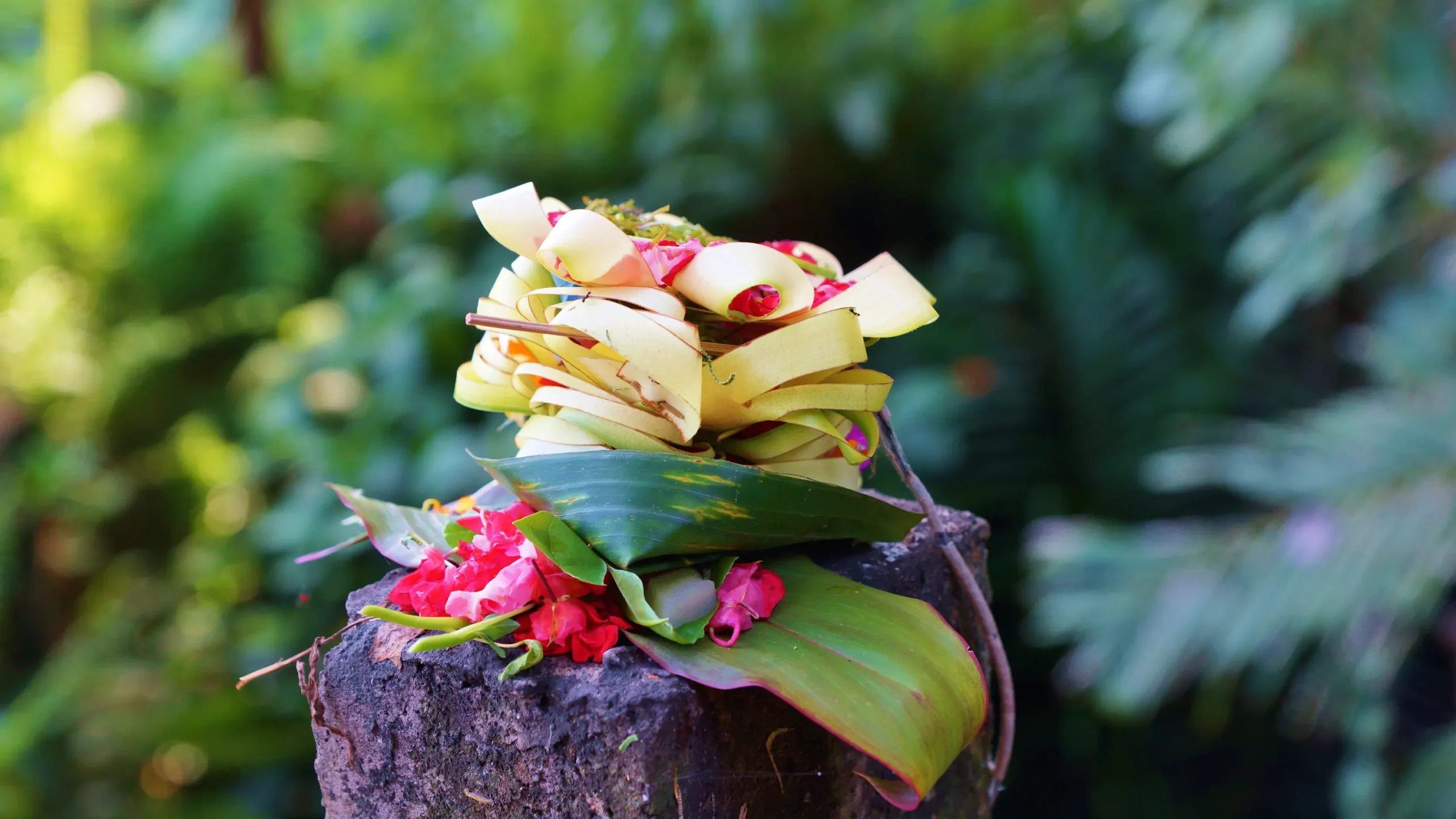 Flores de ofrenda balinesas colocadas sobre piedra, Indonesia