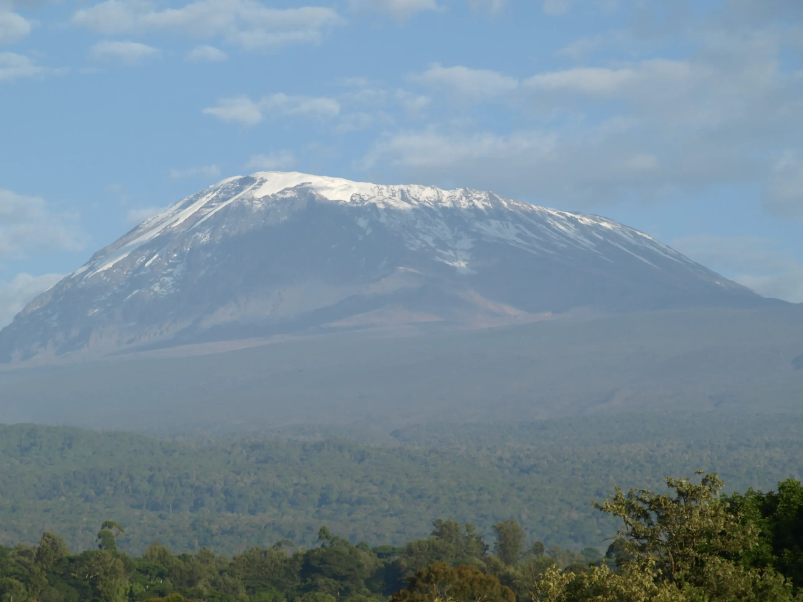 El Kilimanjaro nevado sobre el bosque