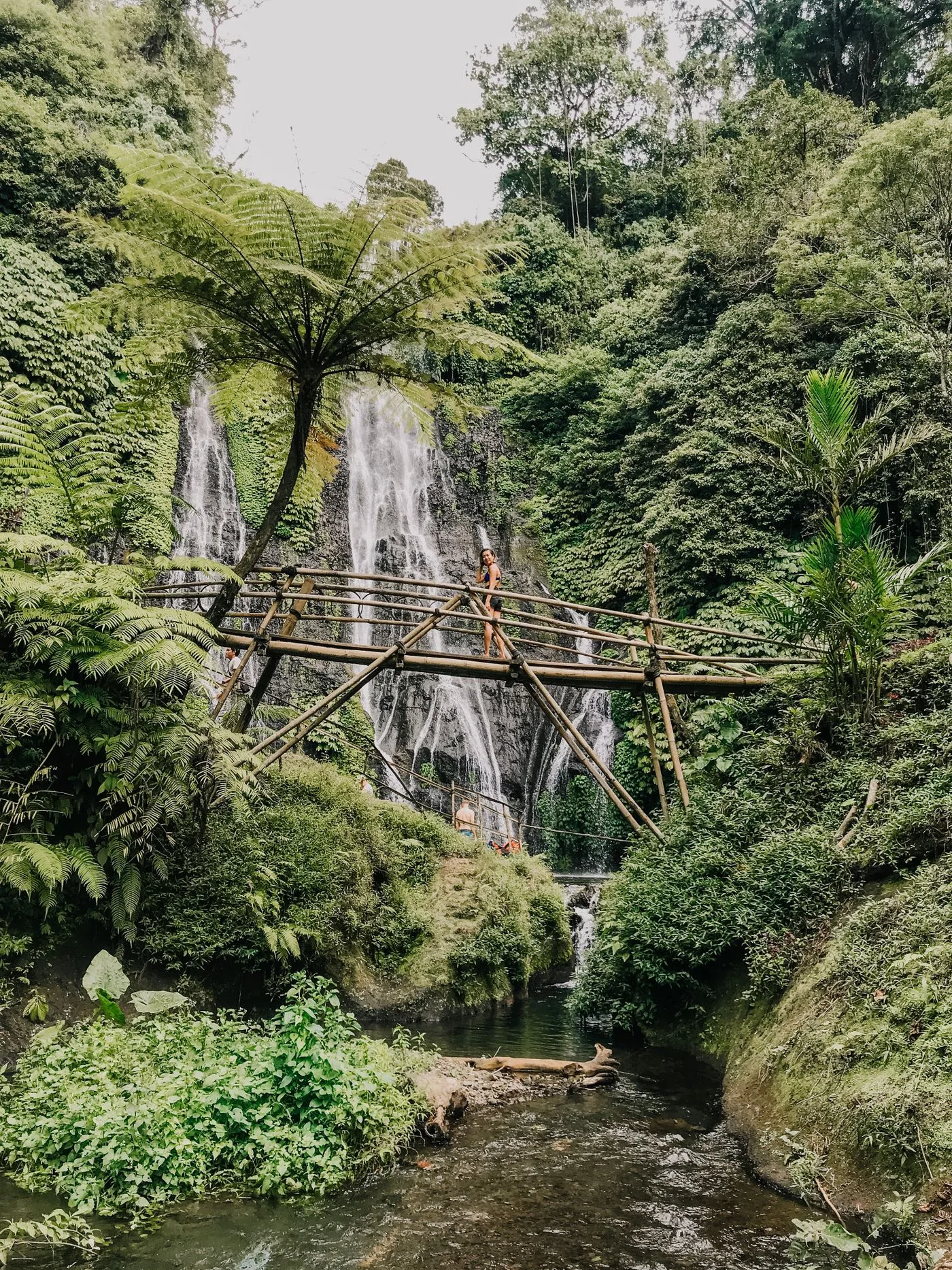 Cascadas gemelas de Banyumala, en la selva cerca de Munduk