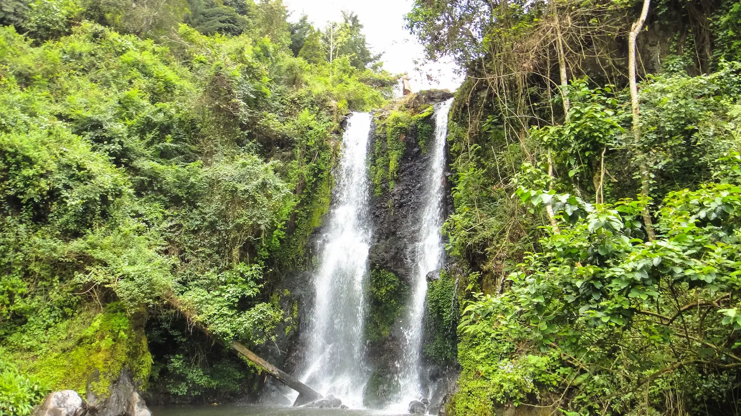 Cascada entre la selva en las laderas del Kilimanjaro