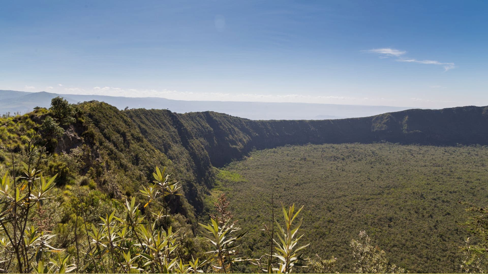 El cráter del volcán Longonot, cubierto de bosque, en el valle del Rift