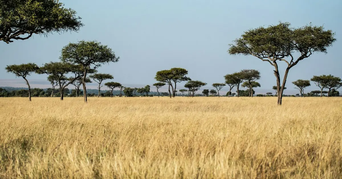 Discover Kenya