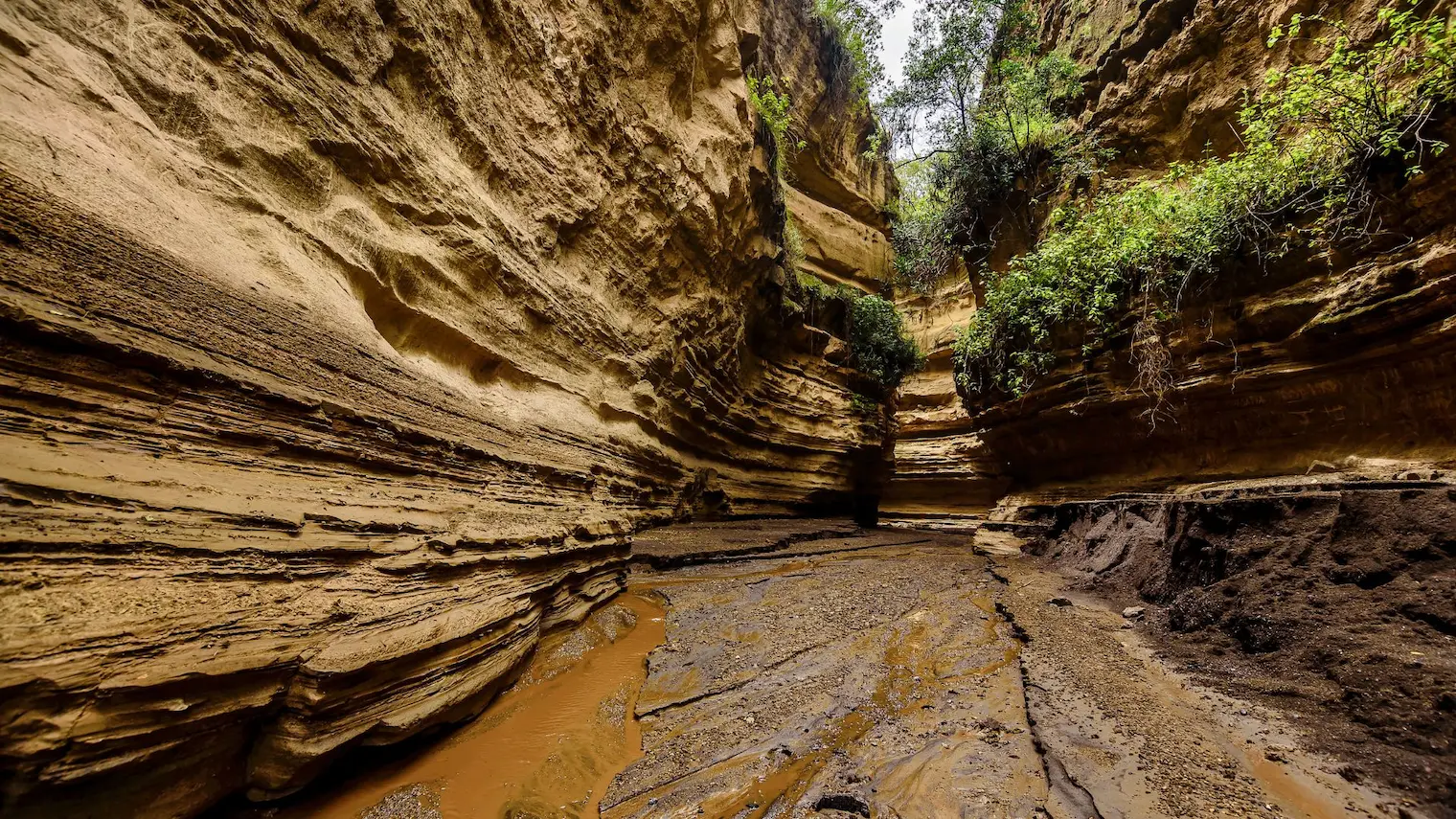 Garganta de arenisca en el Parque Nacional de Hell's Gate
