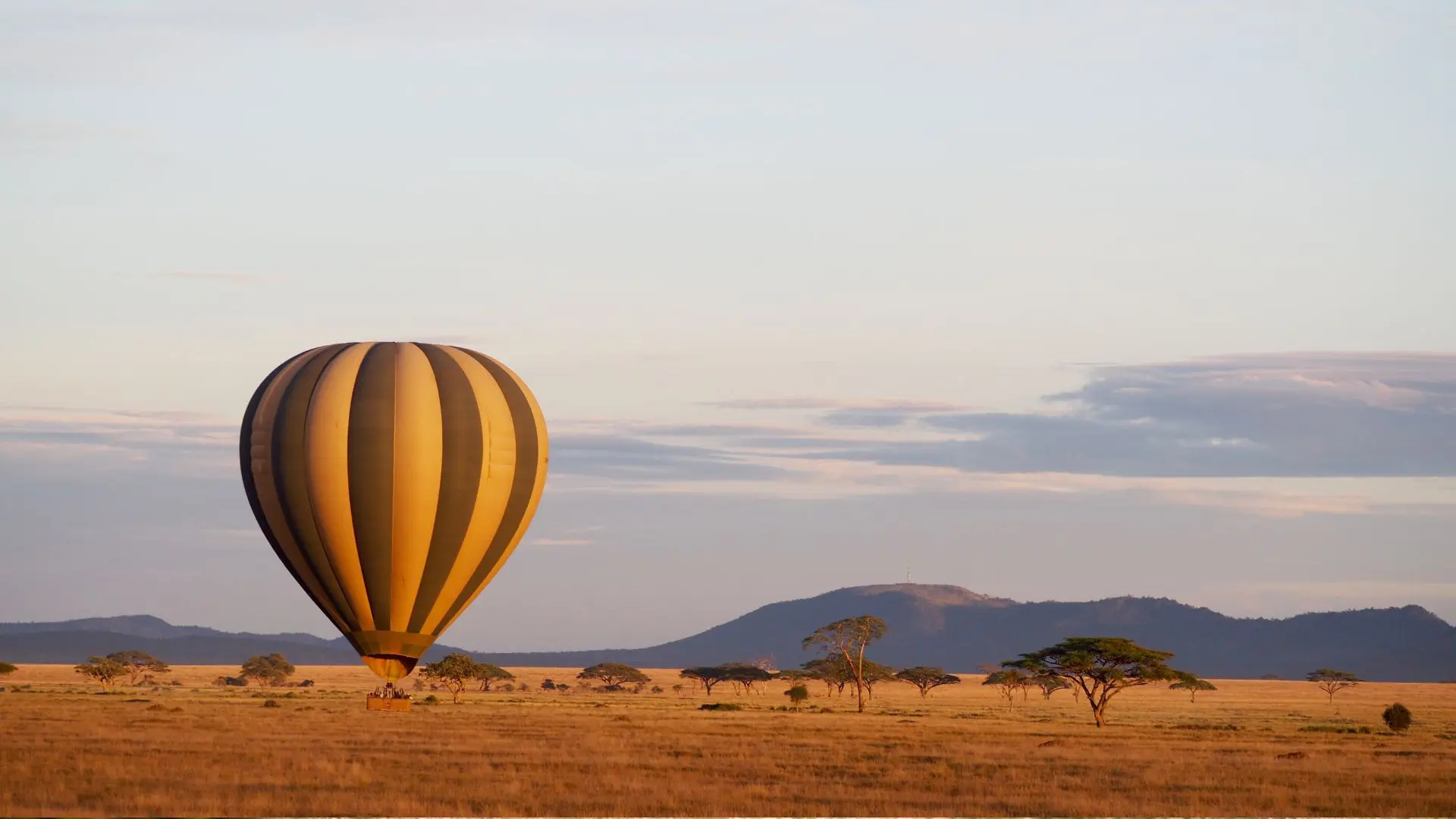 Globo sobre la llanura del Serengeti al amanecer