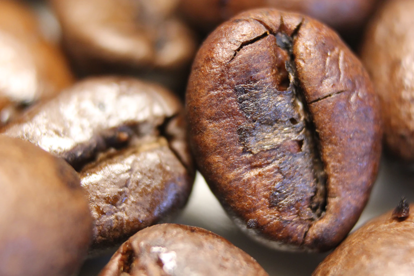 Granos de café tostado de cerca