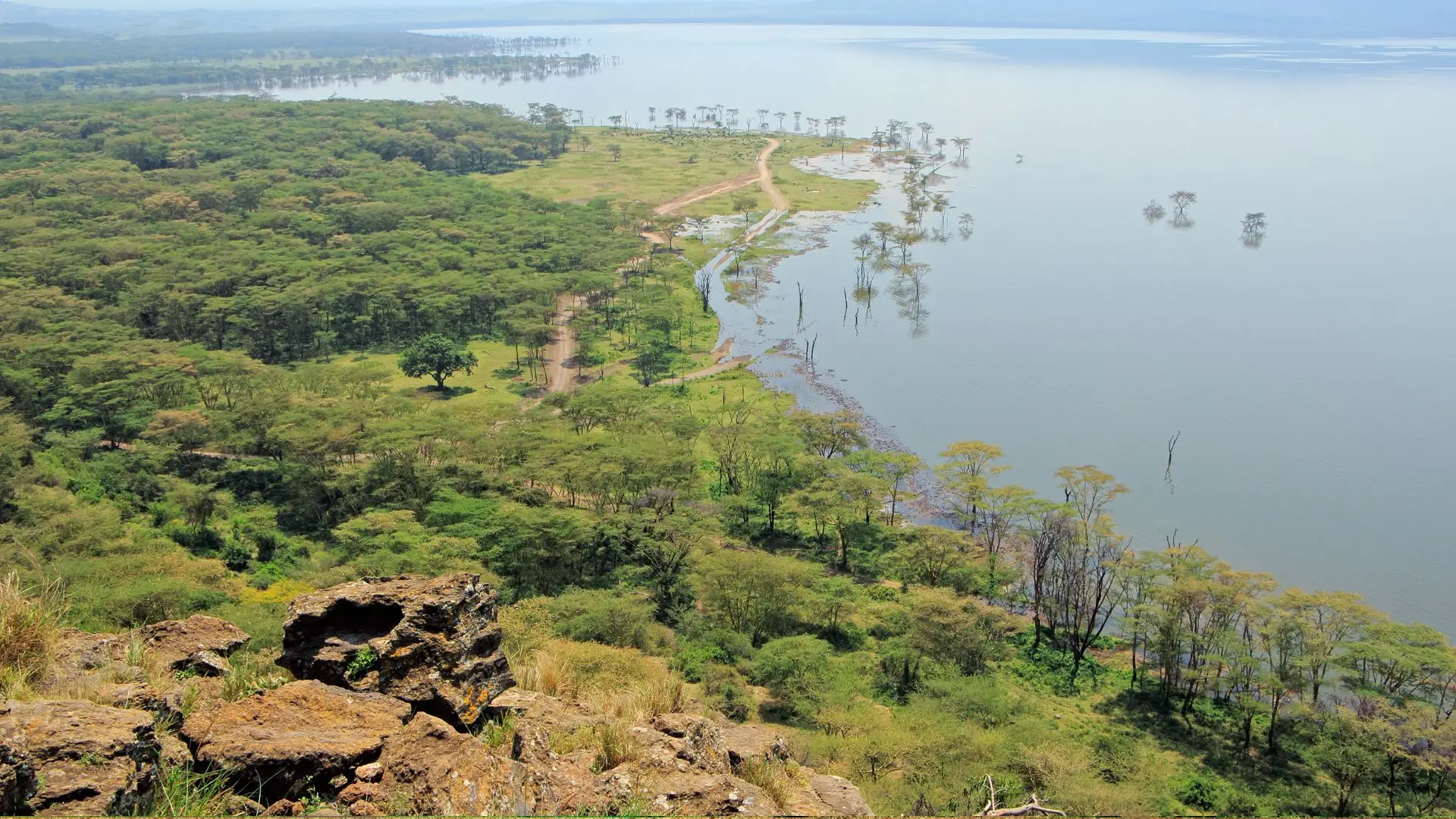 El lago Nakuru y su bosque de acacias vistos desde el mirador de Baboon Cliff