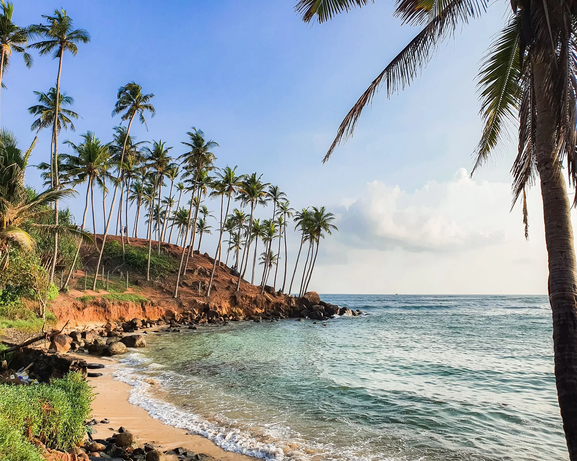 Costa de Mirissa con cocoteros y el océano Índico