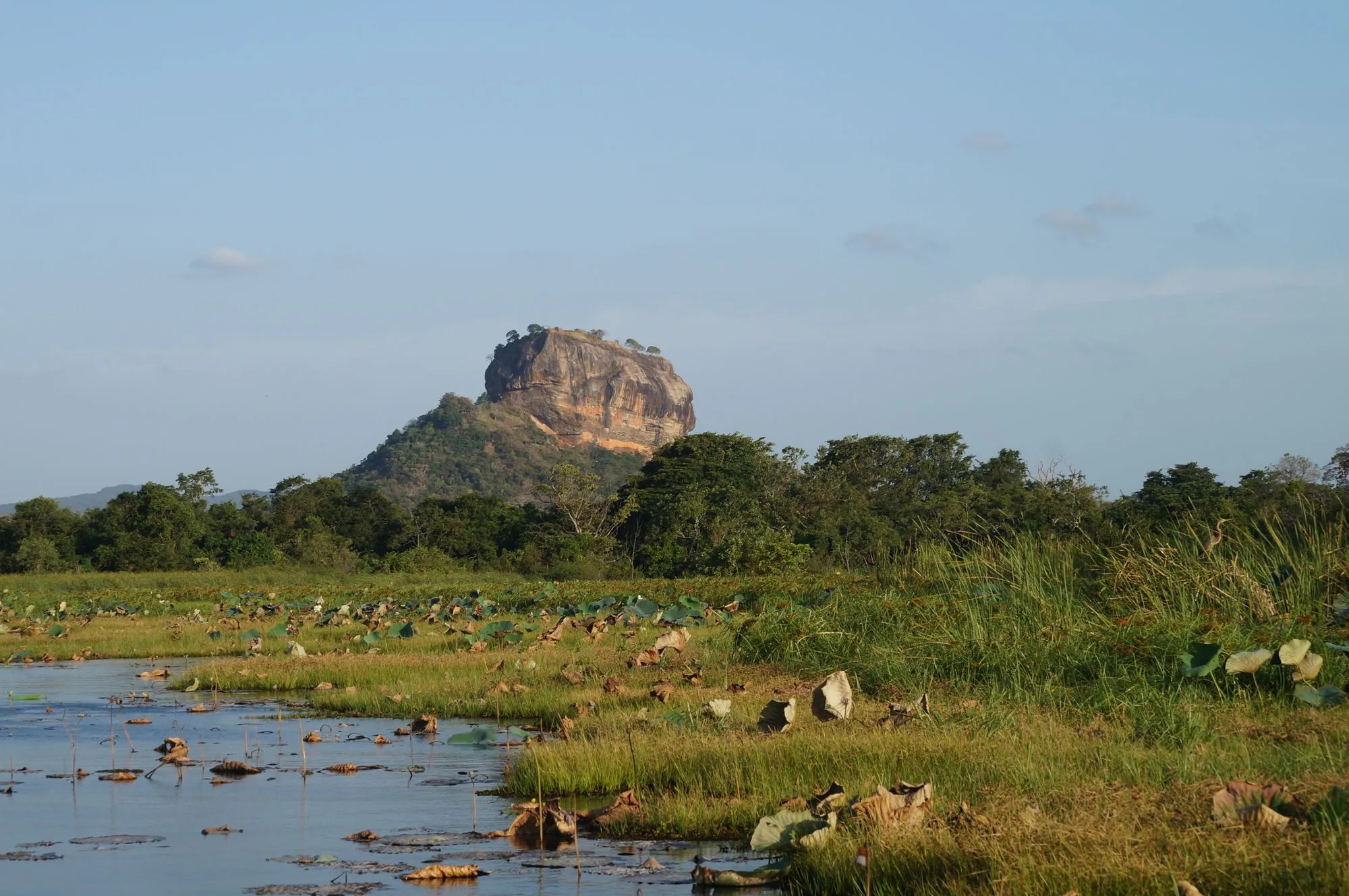 La roca de Sigiriya sobre la selva de Sri Lanka